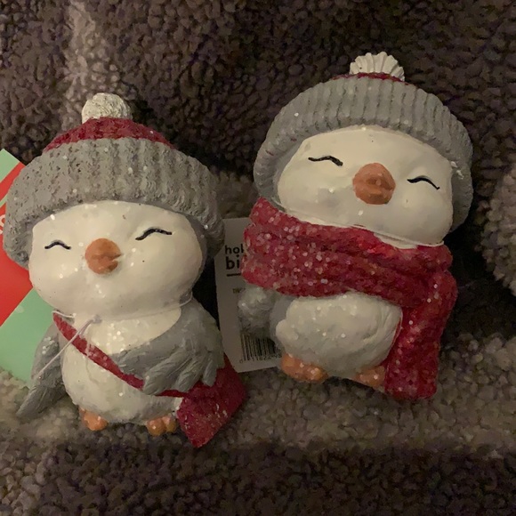 Other - Holiday Bird decorations